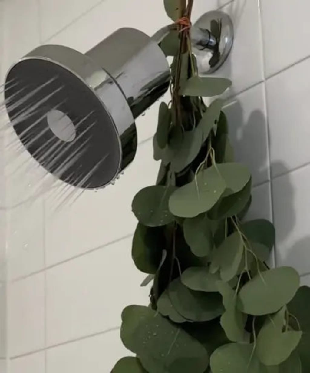 VYNA™ Ultra Filtered Showerhead